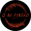 qnipintao logotrans